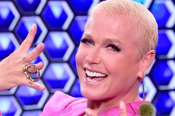 A Fazenda 12: Xuxa revela para quem vai sua torcida na 10ª Roça da semana - Foto: Reprodução/RecorTV