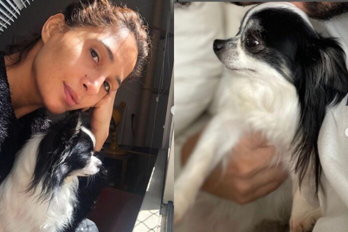 Camila Pitanga e sua cachorrinha foto reprodução Instagram