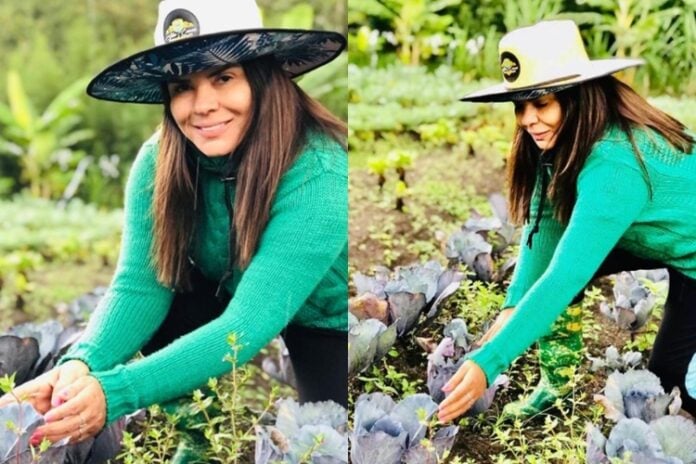 Apresentadora Mara Maravilha (Foto: Reprodução/Instagram)