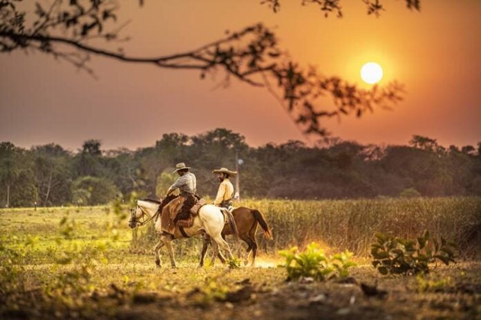 Pantanal - José Leôncio e Joventino