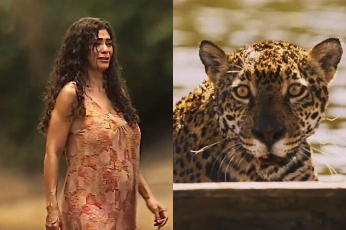 Juliana Paes em Pantanal - Foto: Reprodução/TV Globo