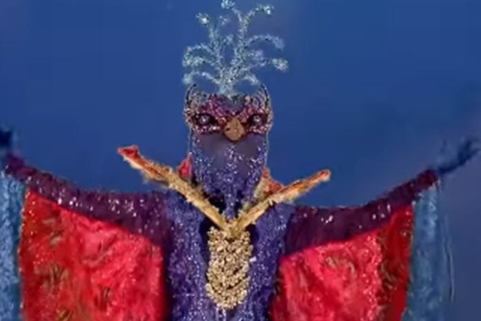 Personagem Pavão no The Masked Singer Brasil, Instagram