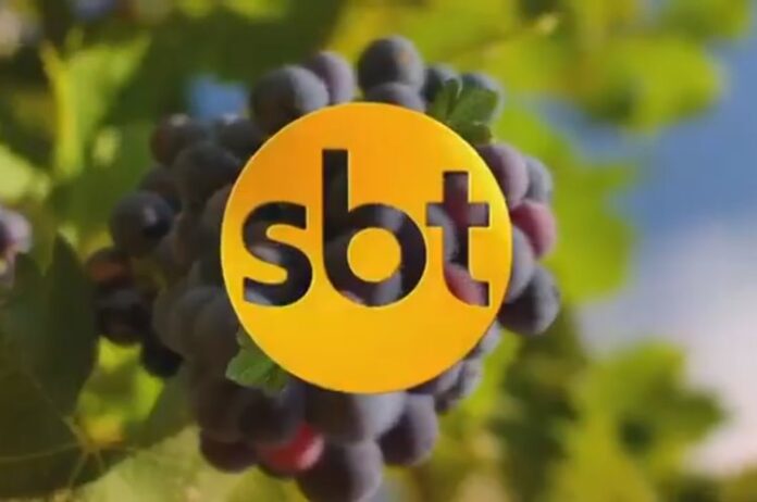 SBT logo