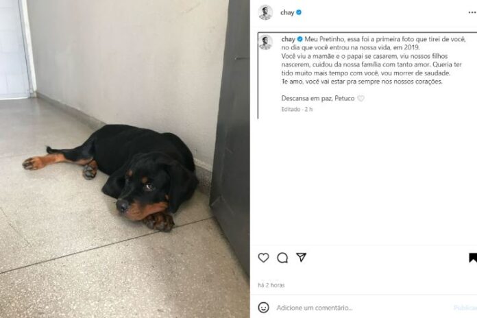 A declaração de Chay Suede sobre a morte do cachorro (Reprodução: Instagram)