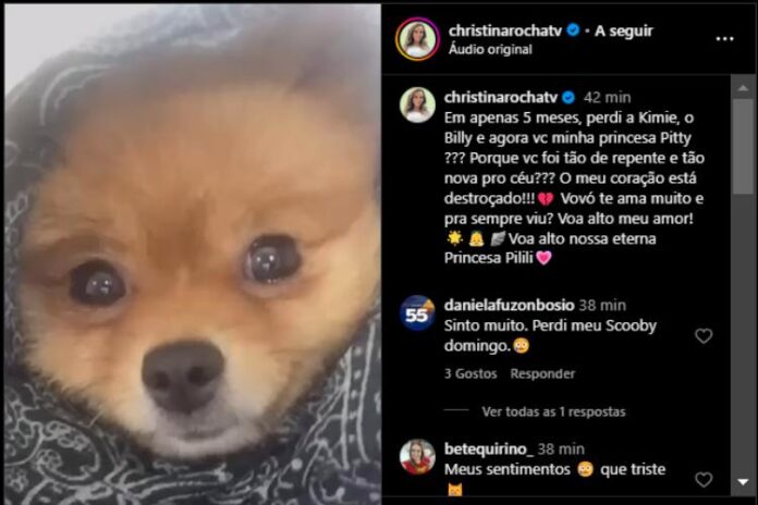 Christina Rocha lamentando a morte da Pitty (Reprodução: Instagram)