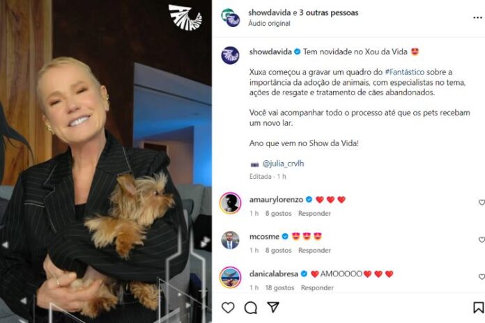 A postagem do Fantástico sobre a Xuxa Meneghel (Reprodução: TV Globo)