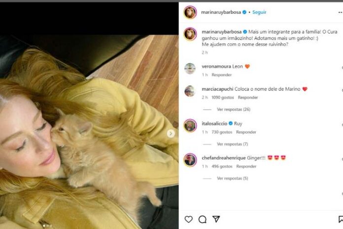 Marina Ruy Barbosa e o gatinho novo