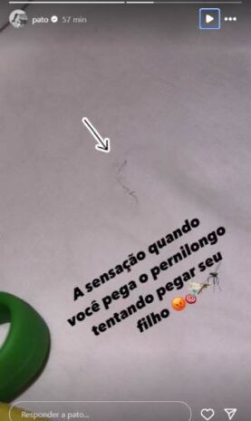 Pato contando o ataque dos pernilongos ao seu filho (Reprodução: Instagram)