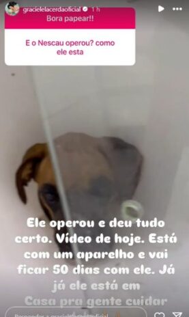 Graciele falando sobre o resultado da operação do Nescau (Reprodução: Instagram)