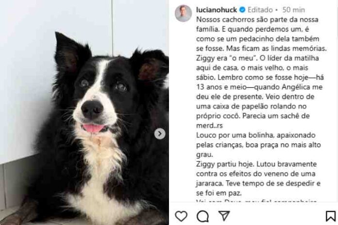 Publicação de Luciano Huck (Reprodução/Instagram)