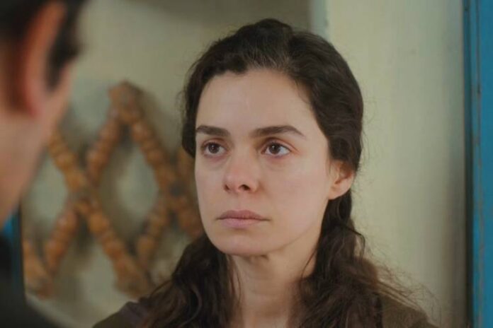 Força de Mulher - Bahar